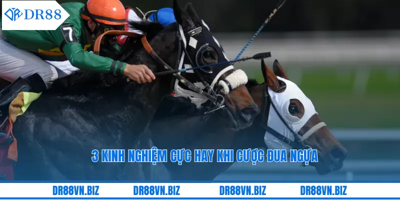 3 kinh nghiệm cực hay khi cược đua ngựa