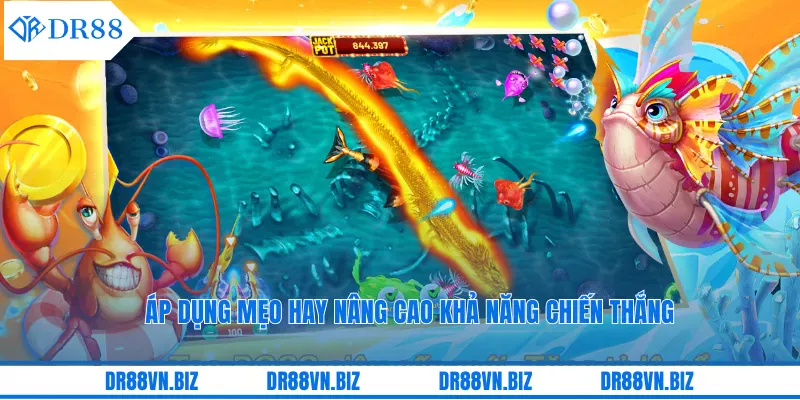 Áp dụng mẹo hay nâng cao khả năng chiến thắng