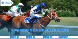 Cá Cược Đua Ngựa Và Bí Kíp Giành Chiến Thắng Cực Nhanh!