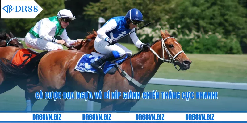 Cá Cược Đua Ngựa Và Bí Kíp Giành Chiến Thắng Cực Nhanh!