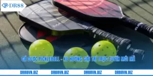 Cá Cược Pickleball - Xu Hướng Giải Trí Trực Tuyến Mới Mẻ