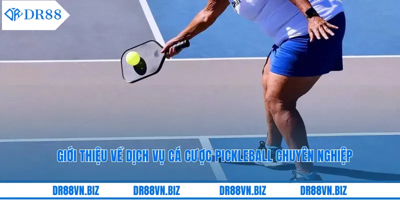 Giới thiệu về dịch vụ cá cược pickleball chuyên nghiệp