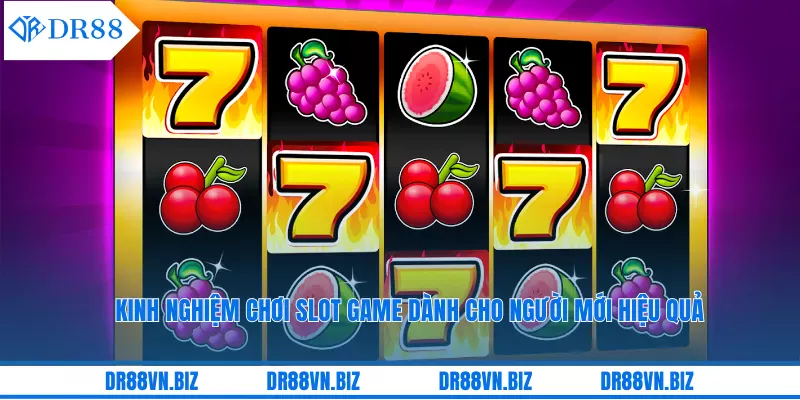 Kinh Nghiệm Chơi Slot Game Dành Cho Người Mới Hiệu Quả