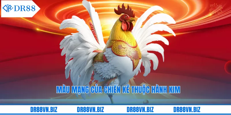 Cá cược theo màu mạng gà đá tại DR88
