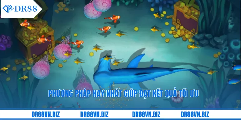 Phương pháp hay nhất giúp đạt kết quả tối ưu Phương pháp hay nhất giúp đạt kết quả tối ưu