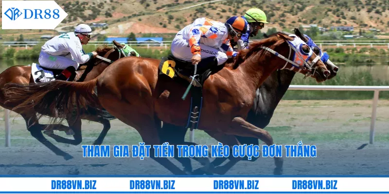 Tham gia đặt tiền trong kèo cược đơn thắng