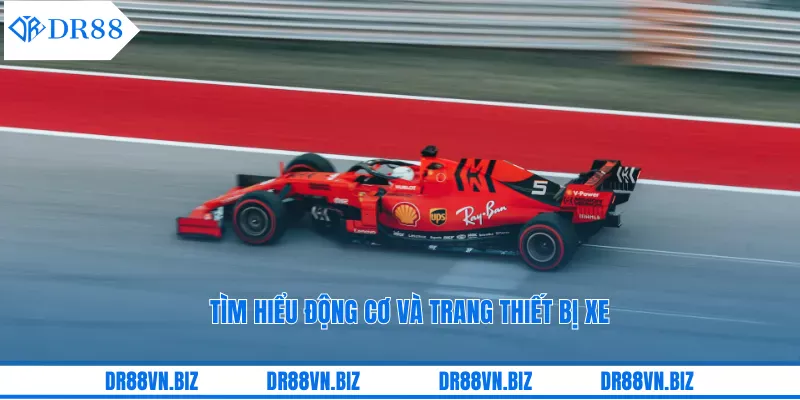 Tìm hiểu hình thức cá cược đua xe cùng DR88
