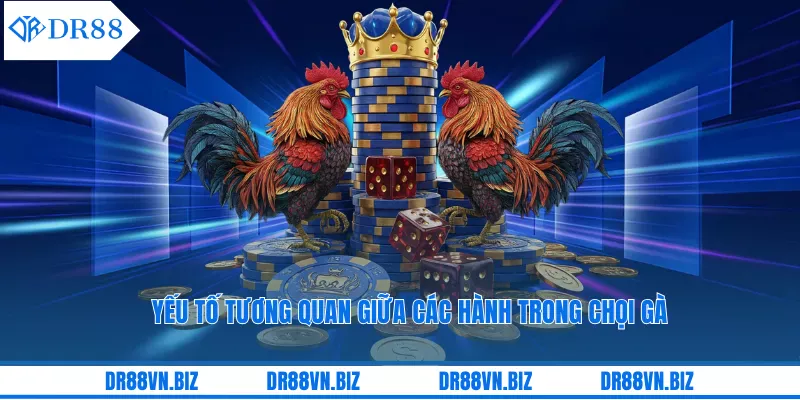 Màu mạng gà đá ảnh hưởng tới kếu quả trận đấu